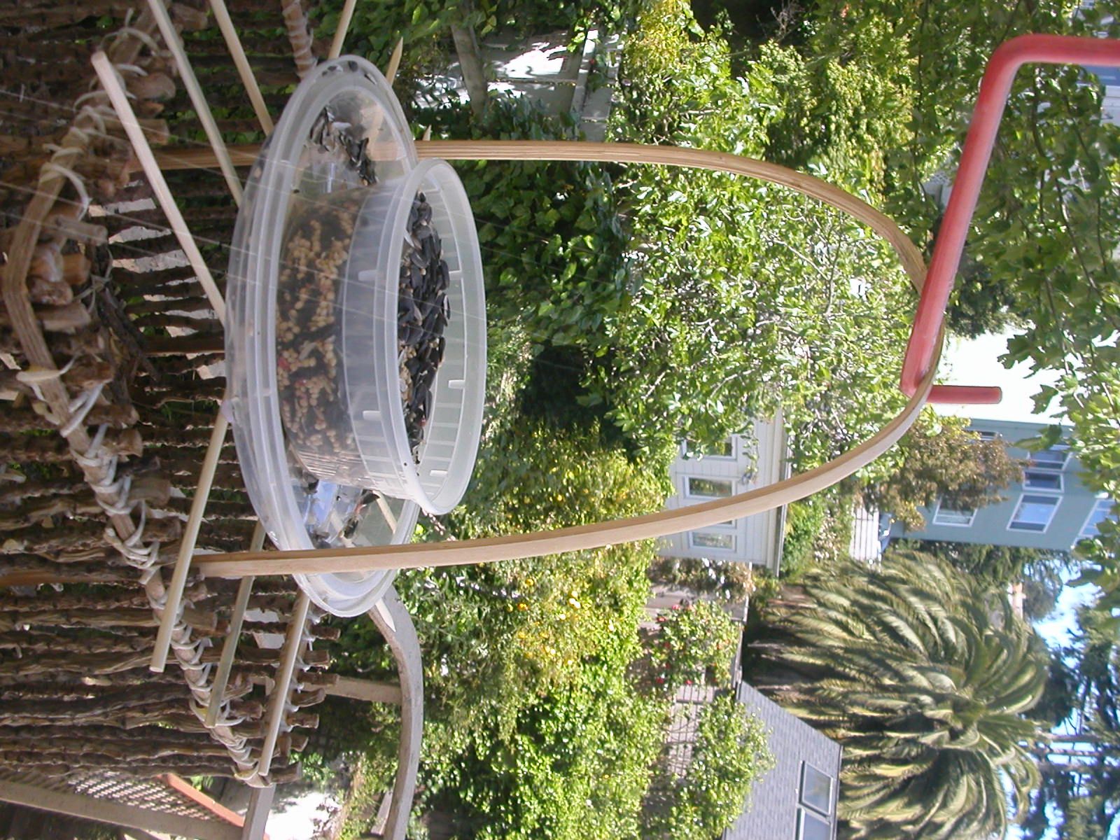 Dual Purpose Bird Feeder Make in 5 Min Instructables
