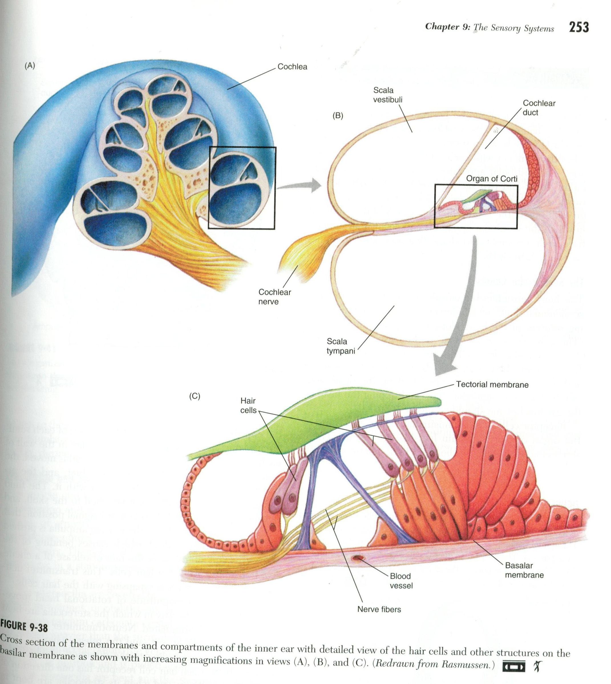 Motion Sensor: Teach Vestibular : 7 Steps - Instructables