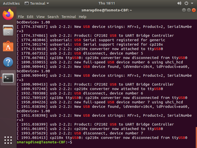 Installation of Esptool, Access GIT Repo, and Test Build.
