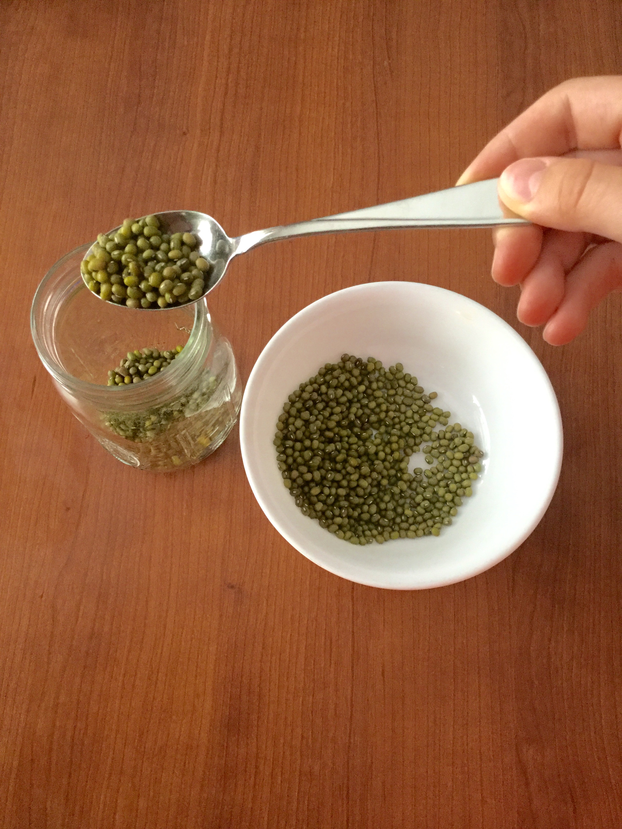 How to Grow Bean Sprouts 5 Steps (with Pictures) Instructables