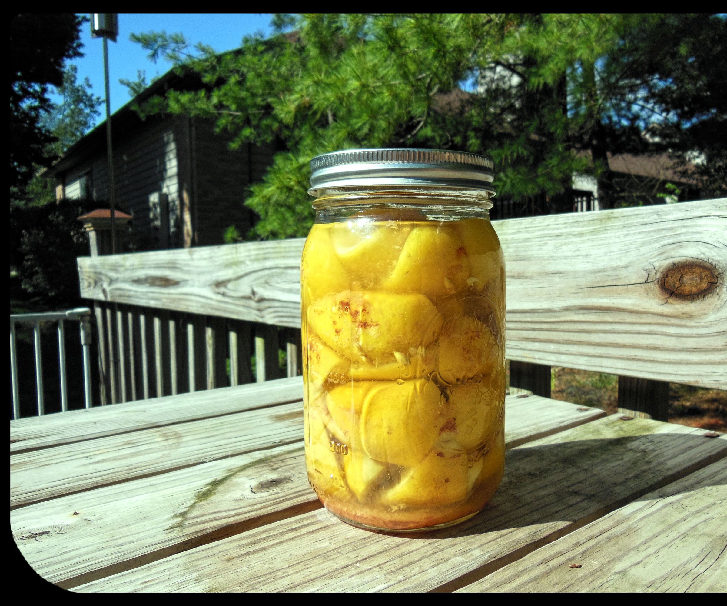 Preserved Lemons With a Pickle Pipe