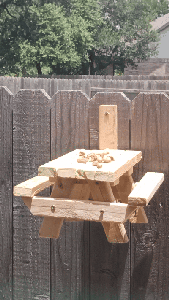 More Bench Visitors!