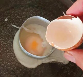Egg Poacher