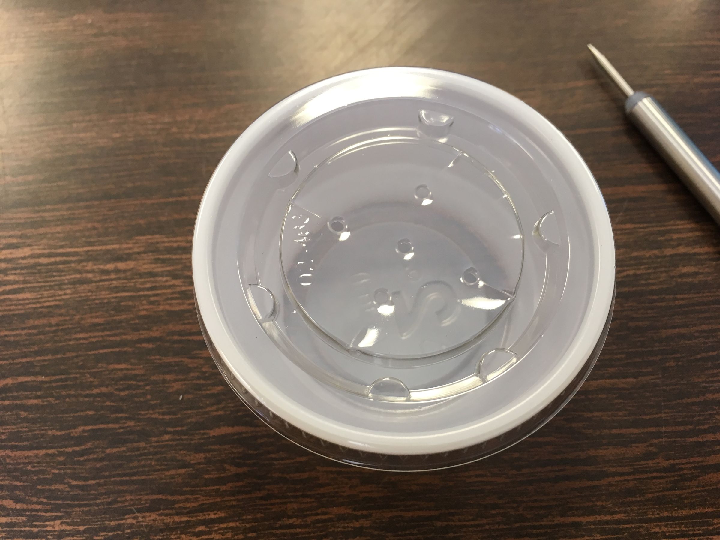 Organizing Student Mealworms for Life Cycle Studies 8 Steps