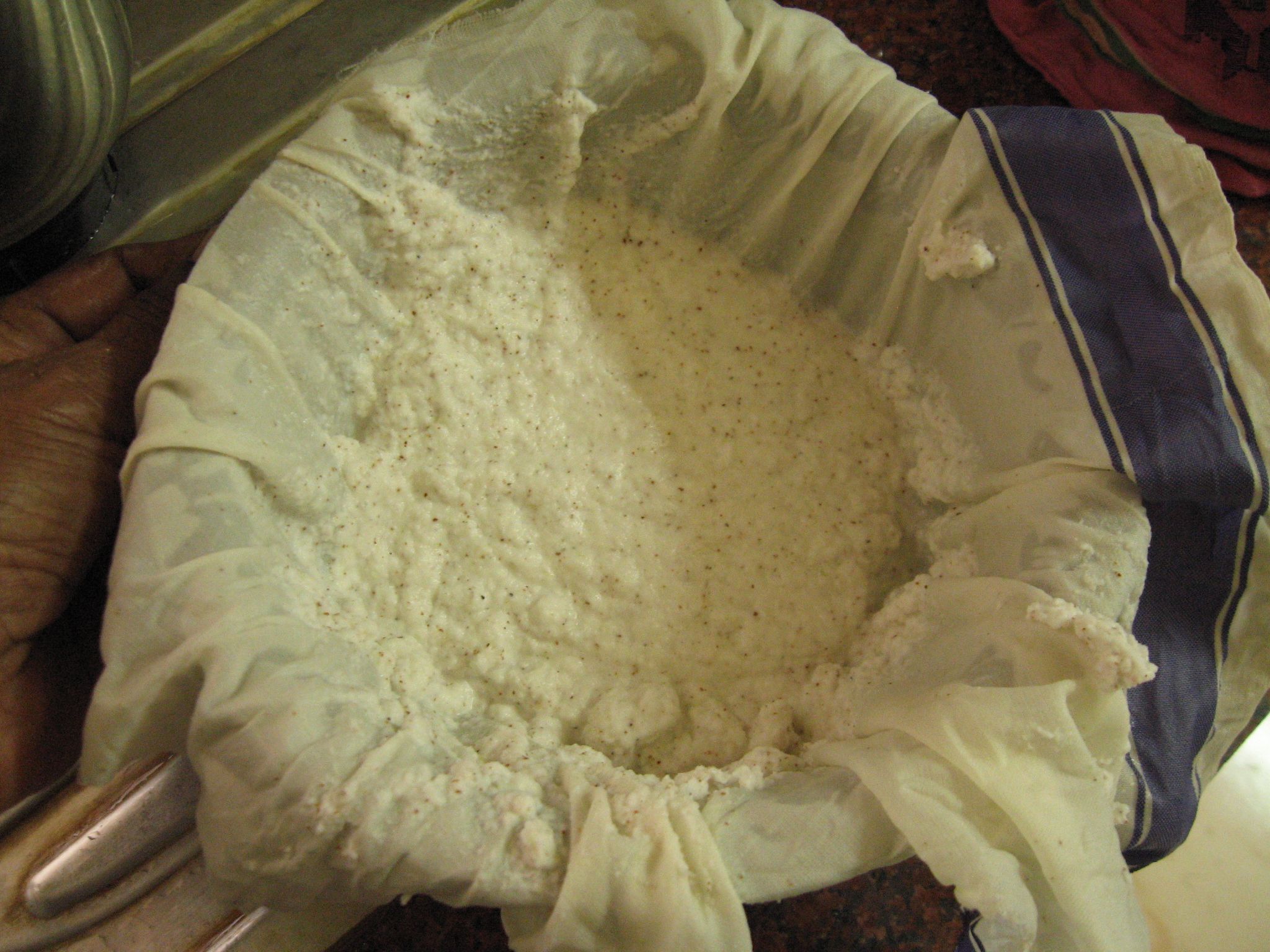 How to Make Coconut Milk Ice Cream 8 Steps (with Pictures