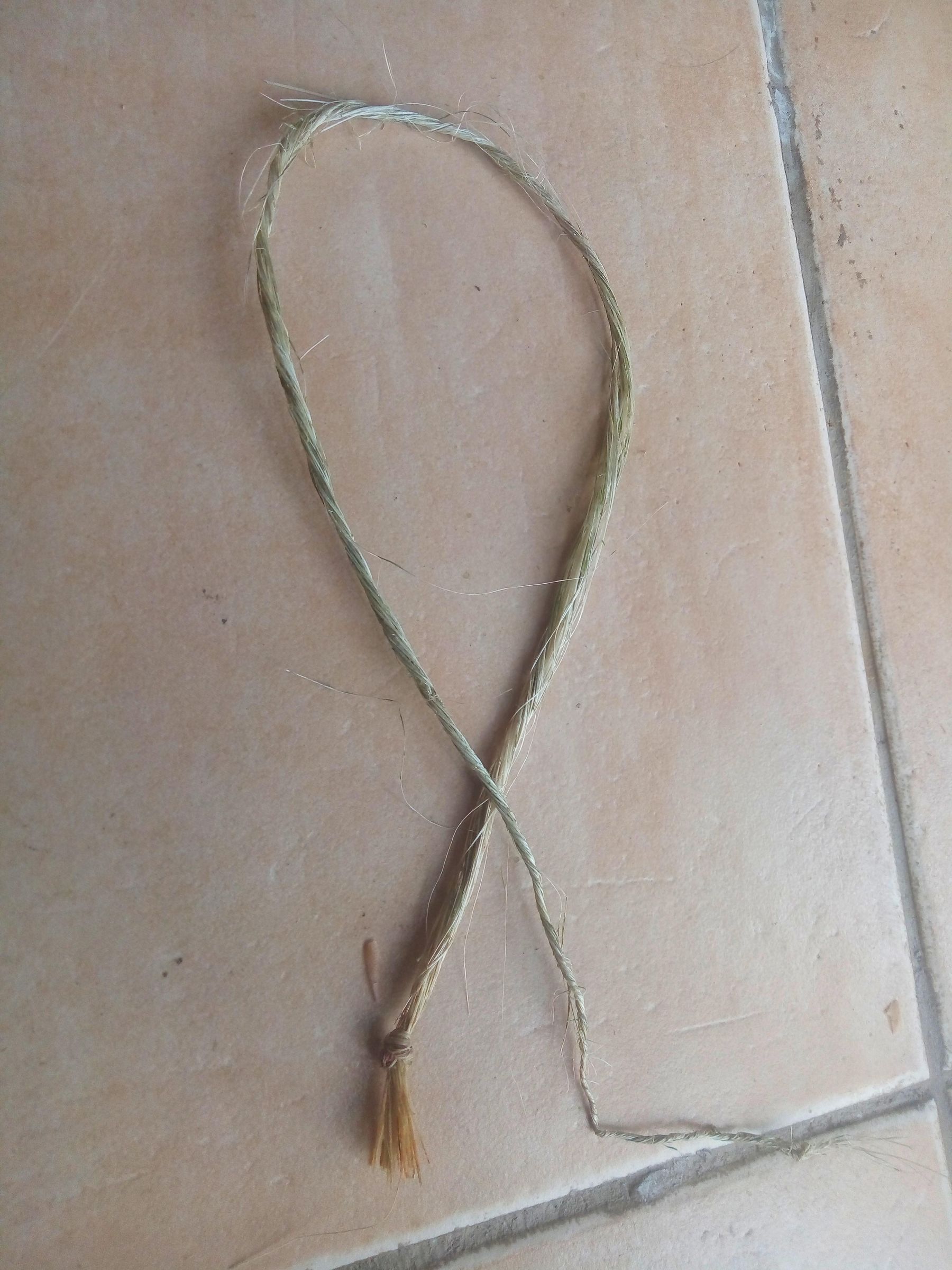 How to Make Rope / String With Natural Plant Fibers : 6 Steps (with ...