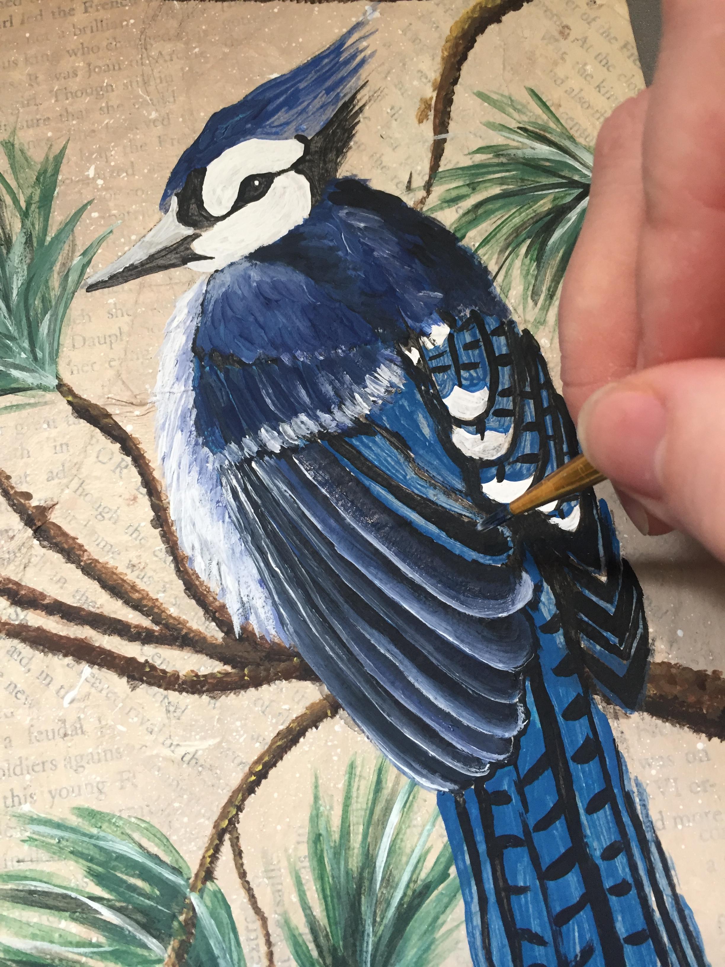 How to Paint a Blue Jay on a Branch. 13 Steps (with Pictures