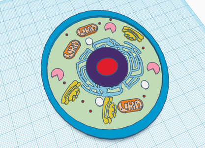 3d Model Animal Cell for the Classroom