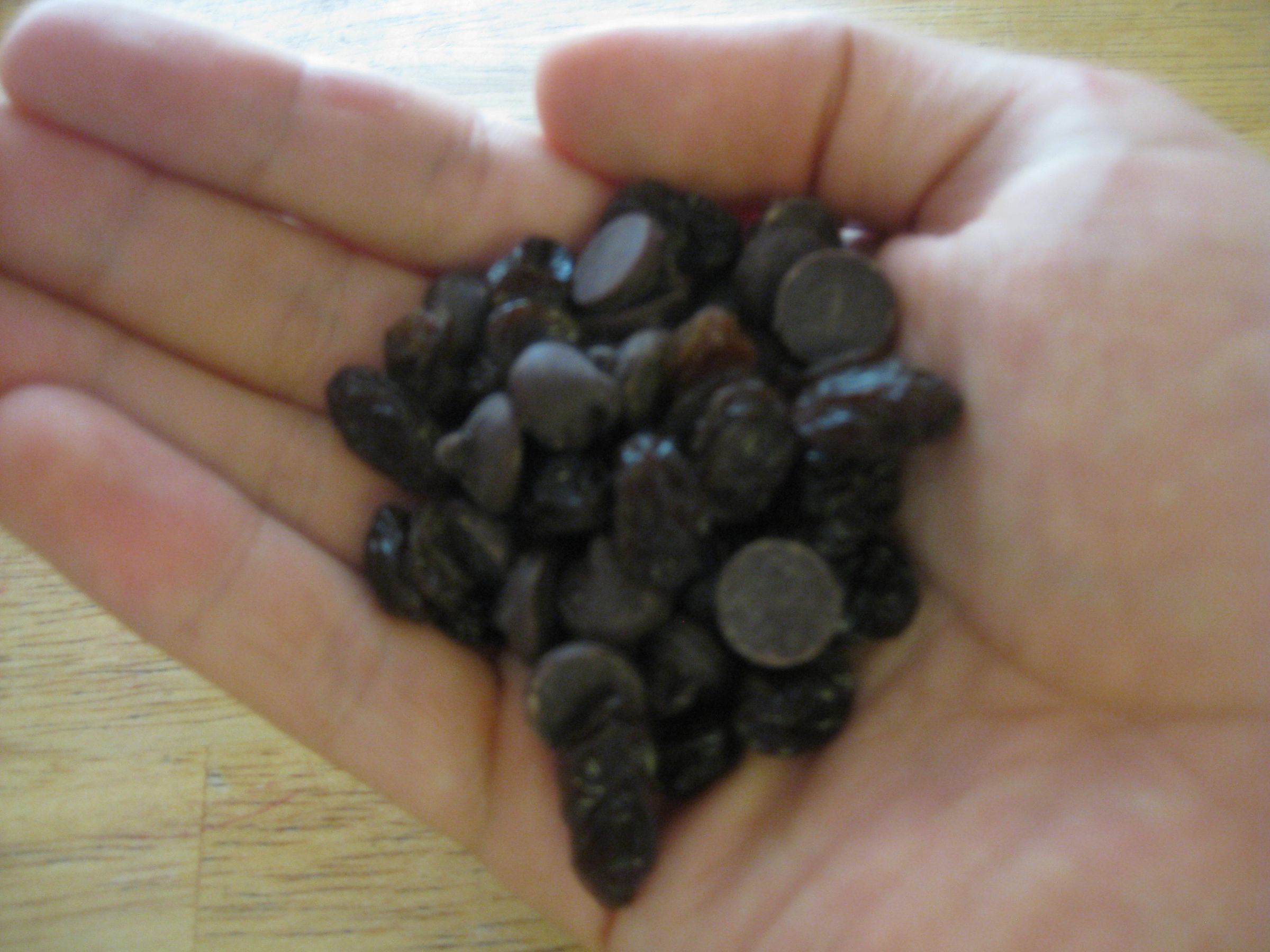 Uncovered Chocolate-Covered Raisins