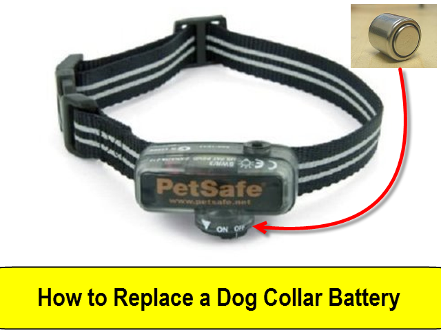 How to Replace a Dog Collar Battery
