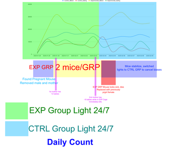 My Observations - How Does Light Affect Mice Activity?