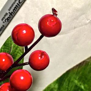 Berries "Cover-ups"