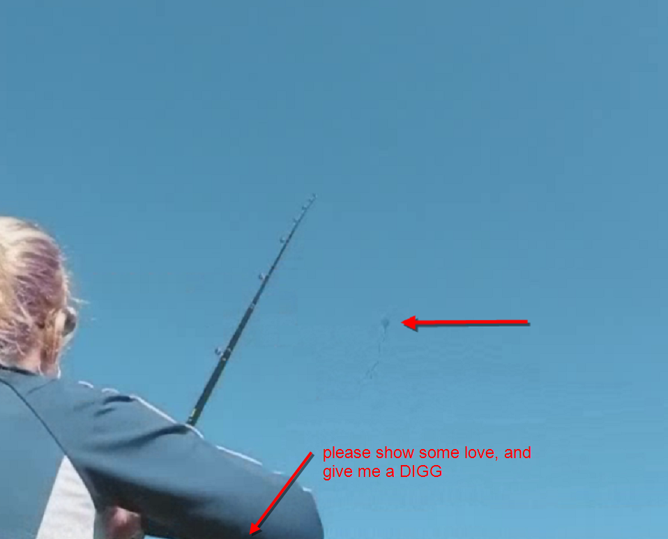 Amazing Kite for Under $5