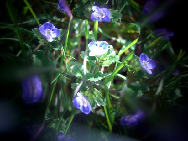 Ten Second Kaleidoscope Lens