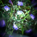 Ten Second Kaleidoscope Lens