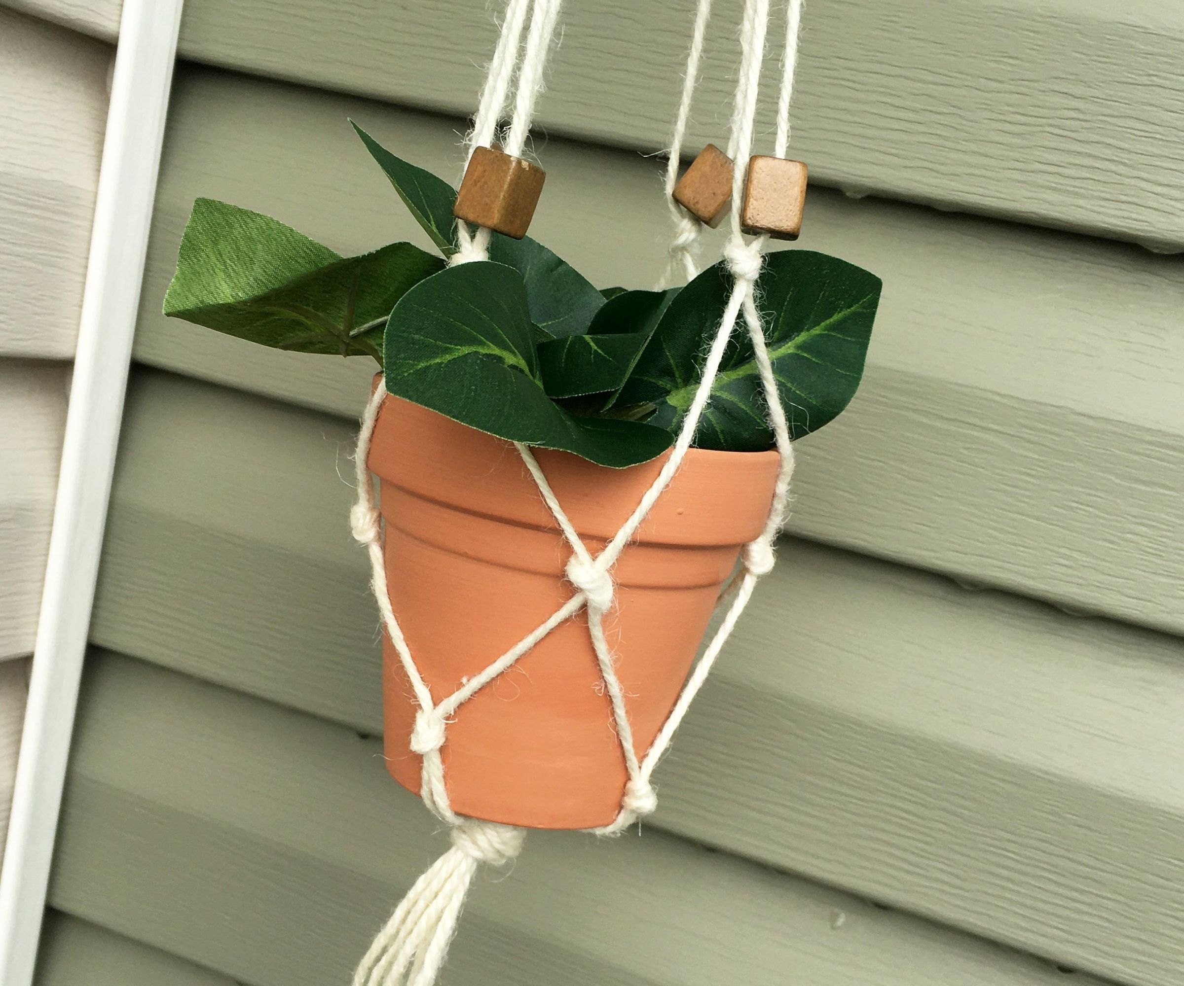 Macrame Plant Hanger for Beginners