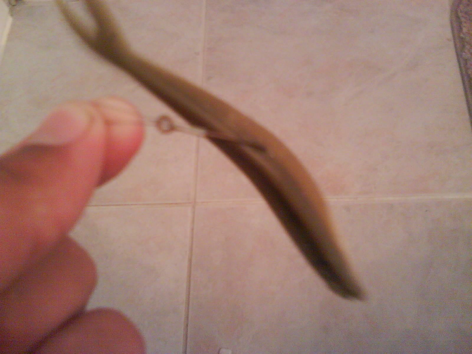 How to Hook Live Bait for Fishing