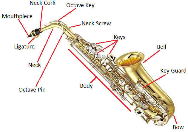 How to Play Saxophone