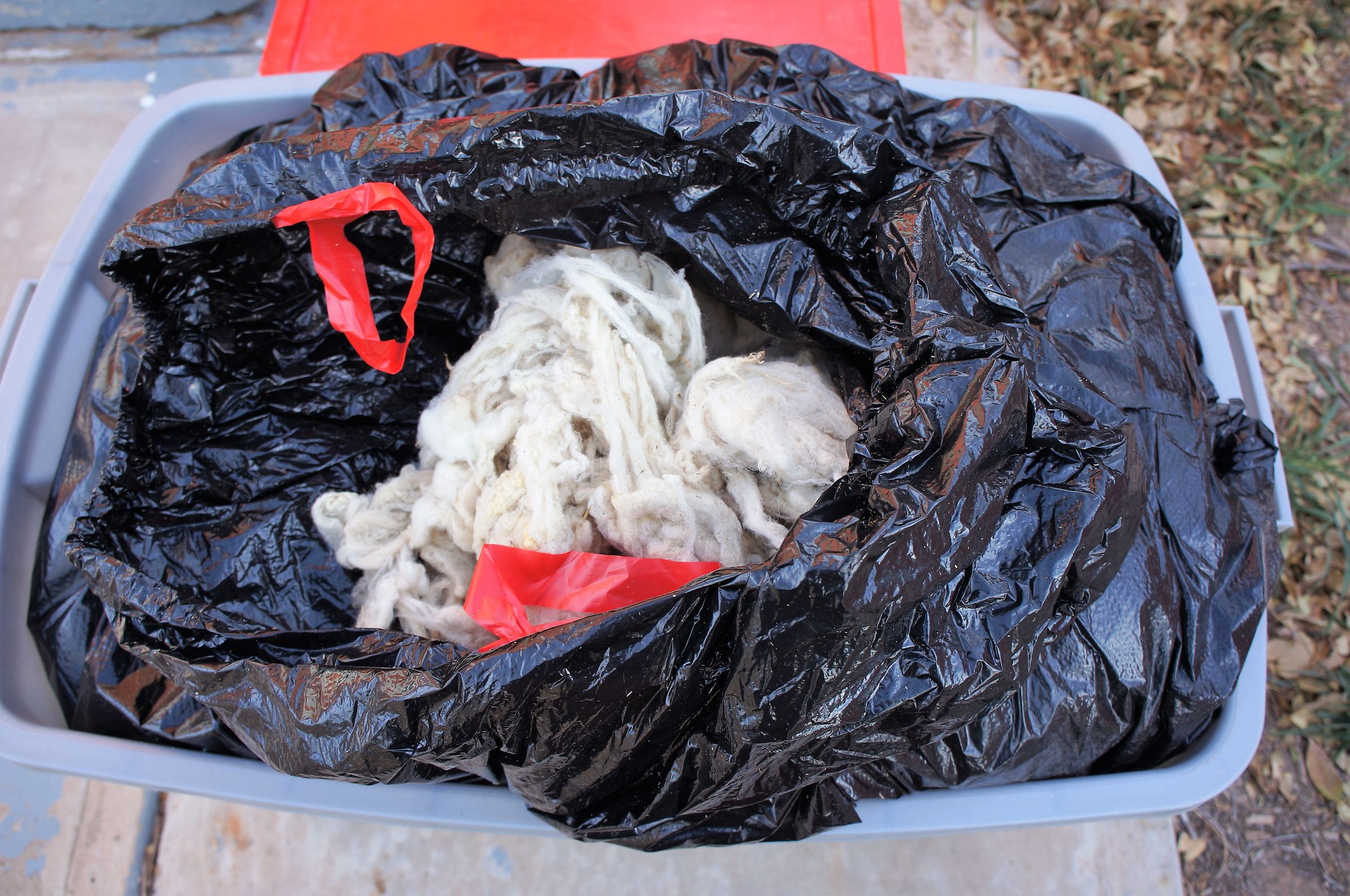 How to Process Card and Dye Raw Wool 12 Steps (with Pictures