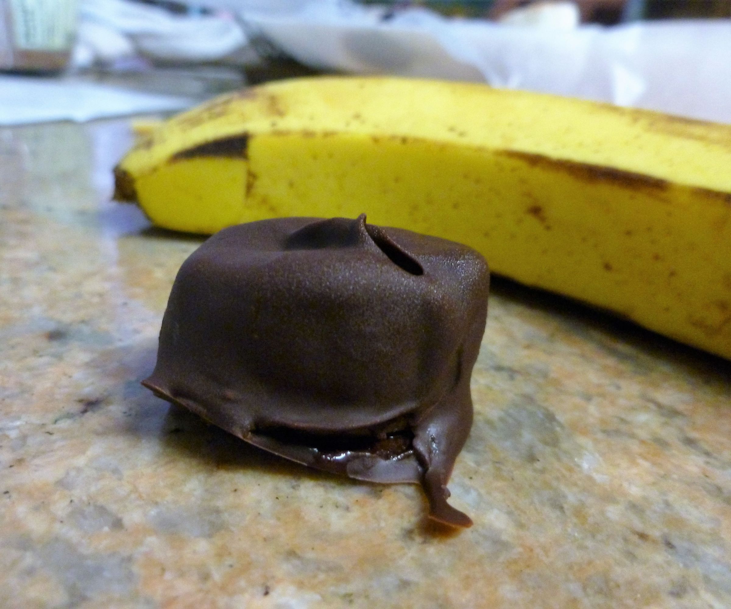 Chocolate Banana Snacks