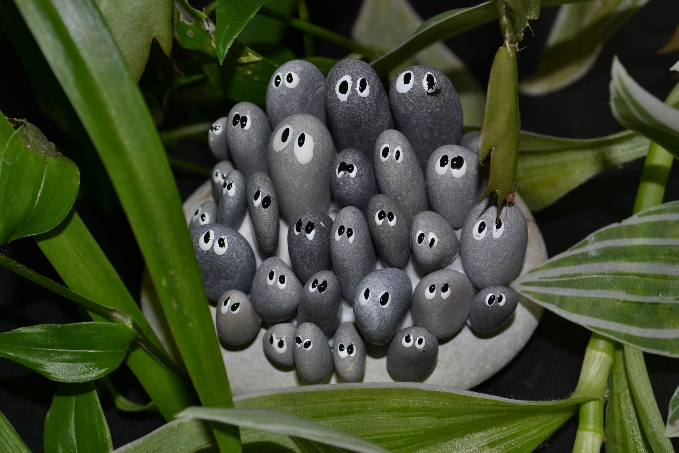 ∴ GARDEN  THING ∴