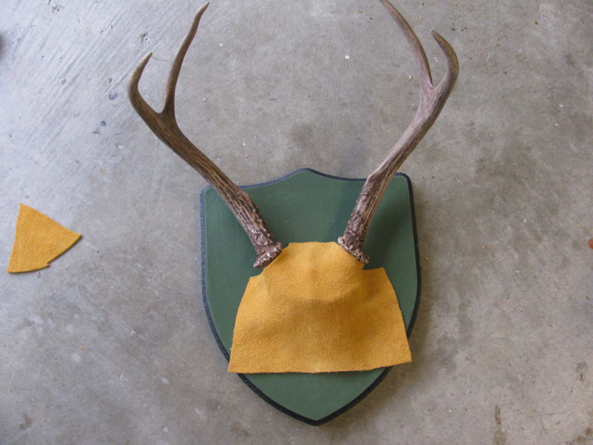 How to Mount Deer Antlers Instructables