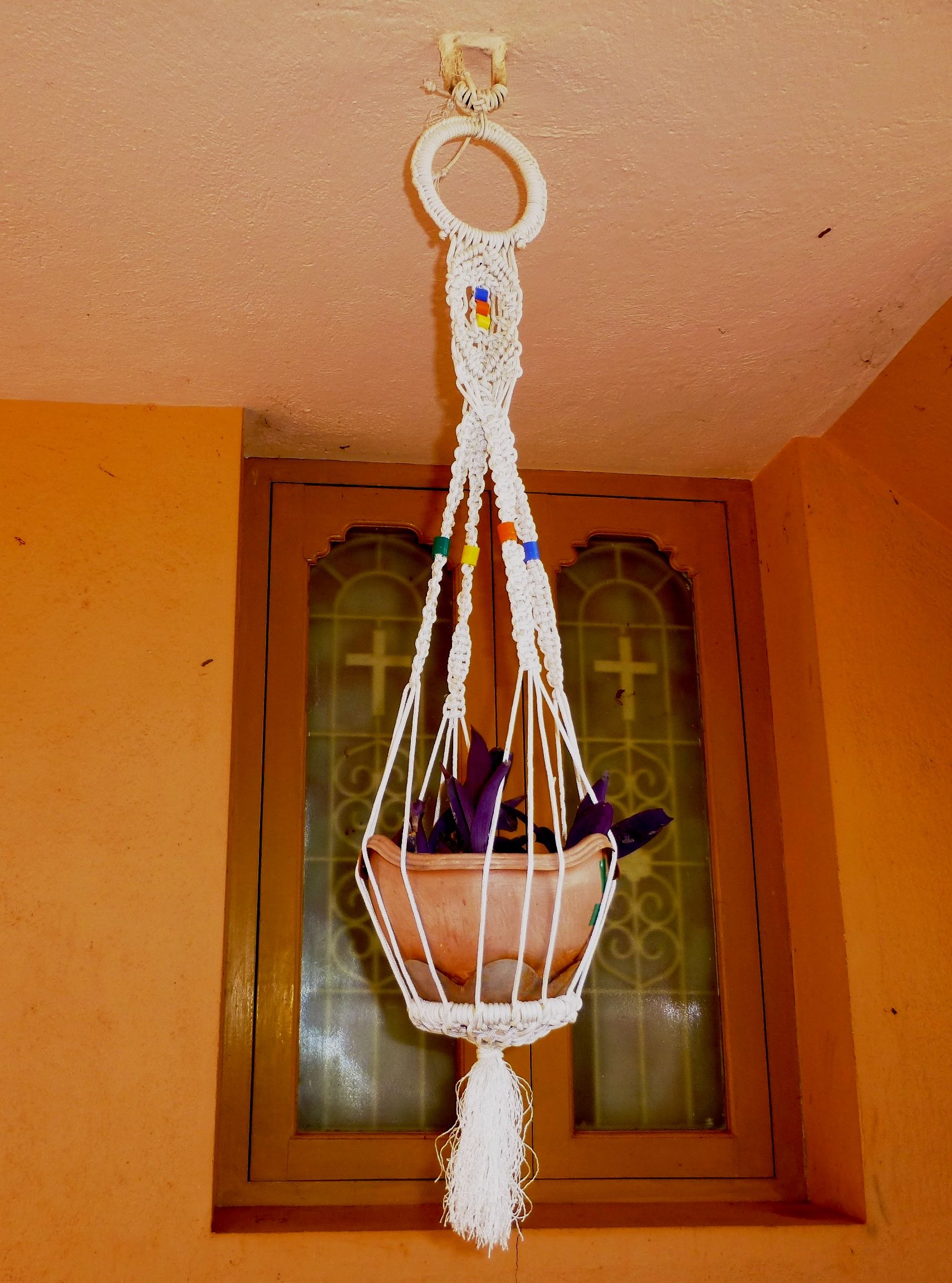 Paracord Plant Hanger With Purple Hearts (Tradescantia Pallida)