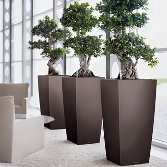 Gardening Ideas in Small Spaces Using Planters