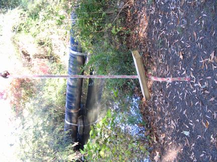 How to Make a Rope Swing