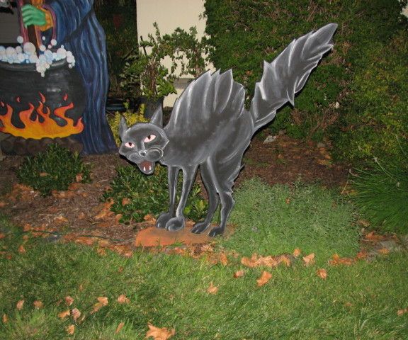Halloween Black Cat With Glowing Eyes