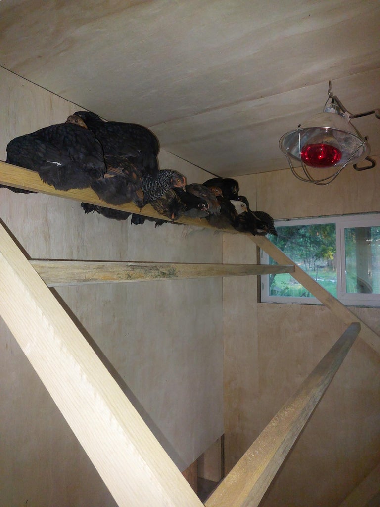 Easy-Care Henhouse : 16 Steps (with Pictures) - Instructables