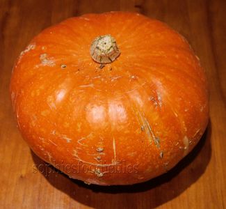 A Fall Spelt Tagliatelli
