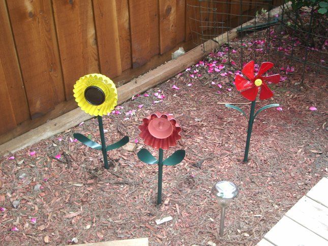 Flowers That Need No Care
