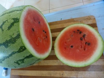Cut and Remove the End
