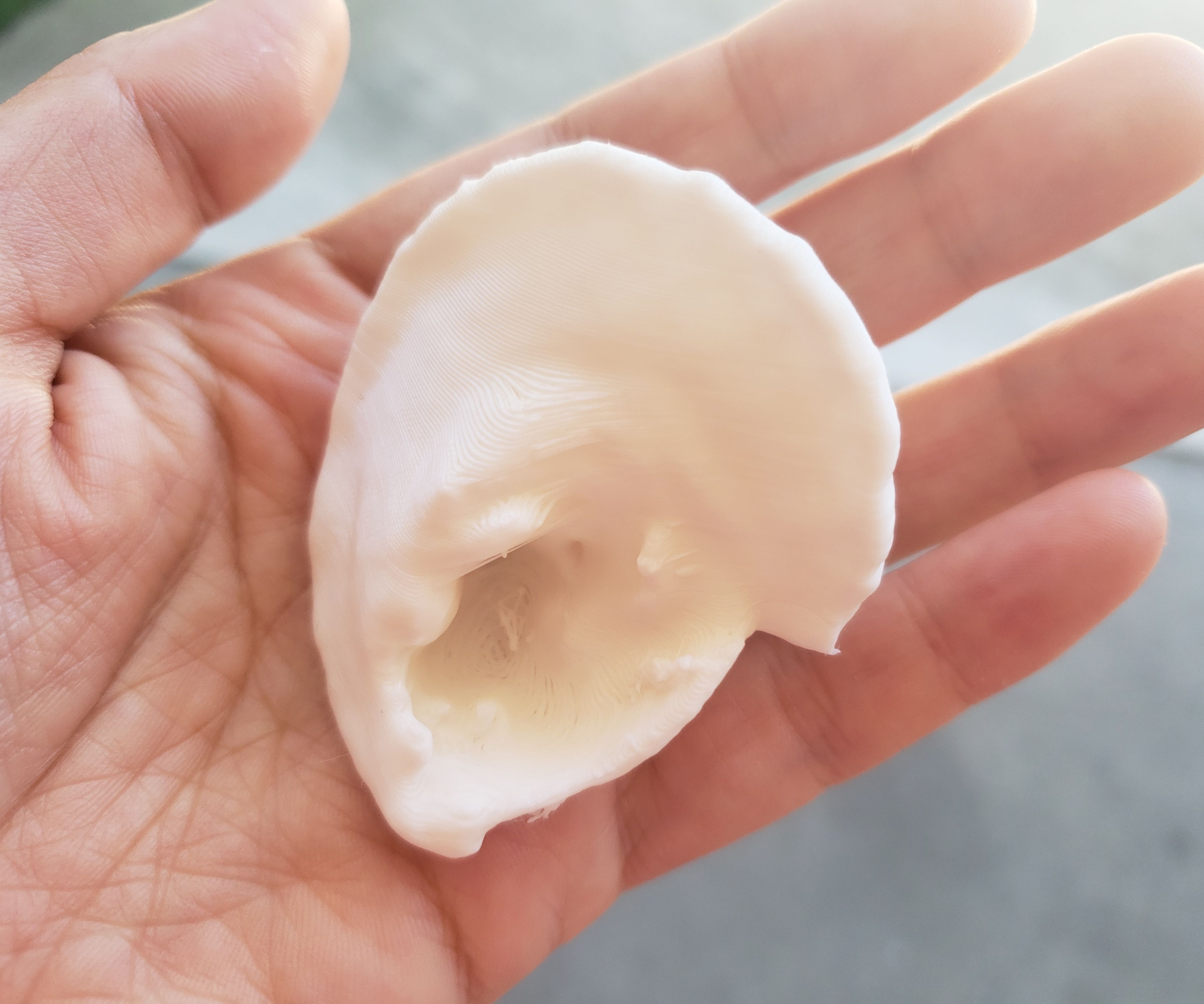 Week 7: Object Scanning and Reconstruction