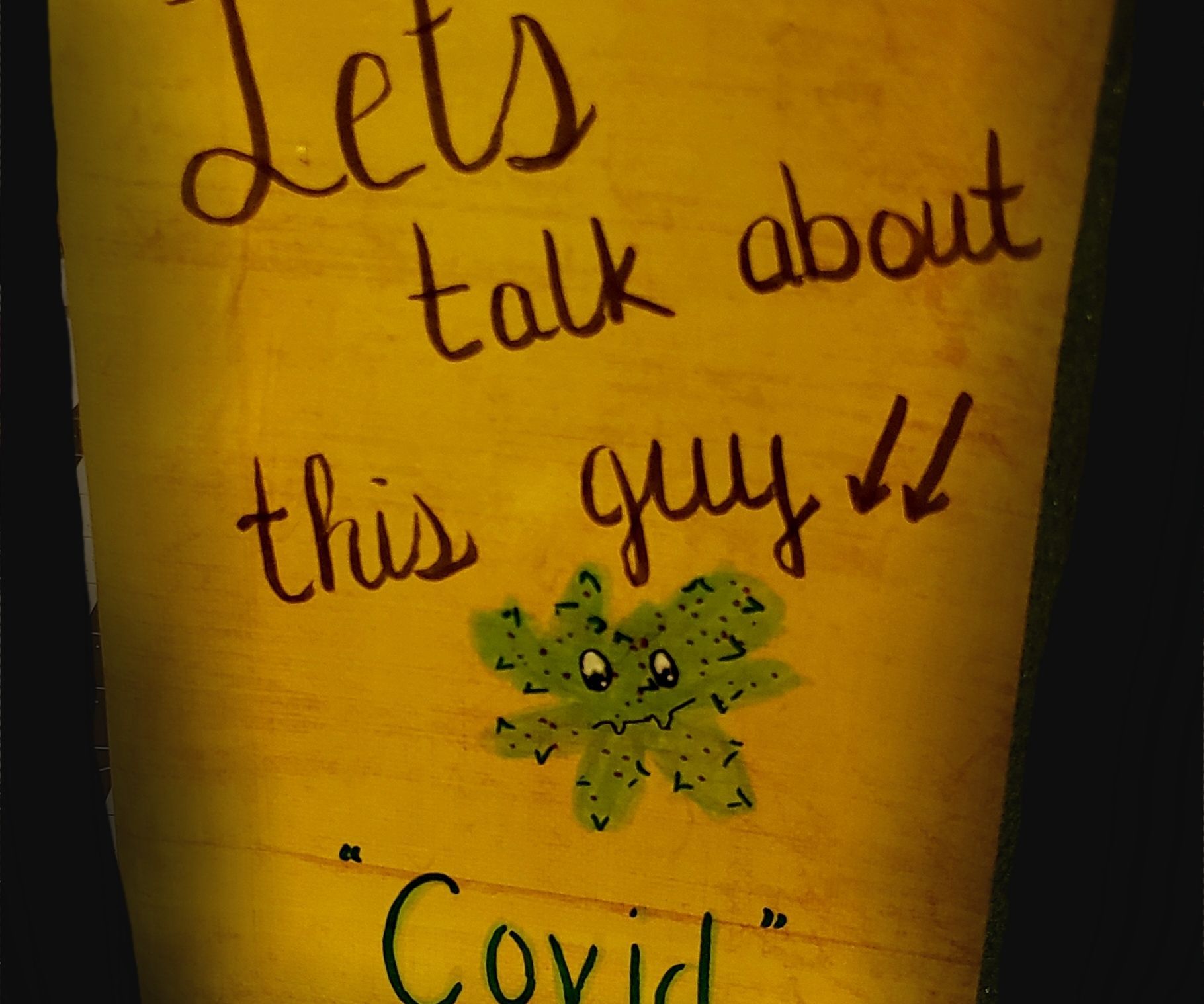 DIY Children's Book Teaching COVID