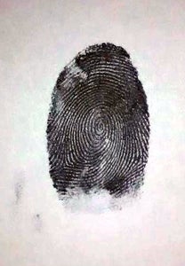 Now, Get Ready for Testing!