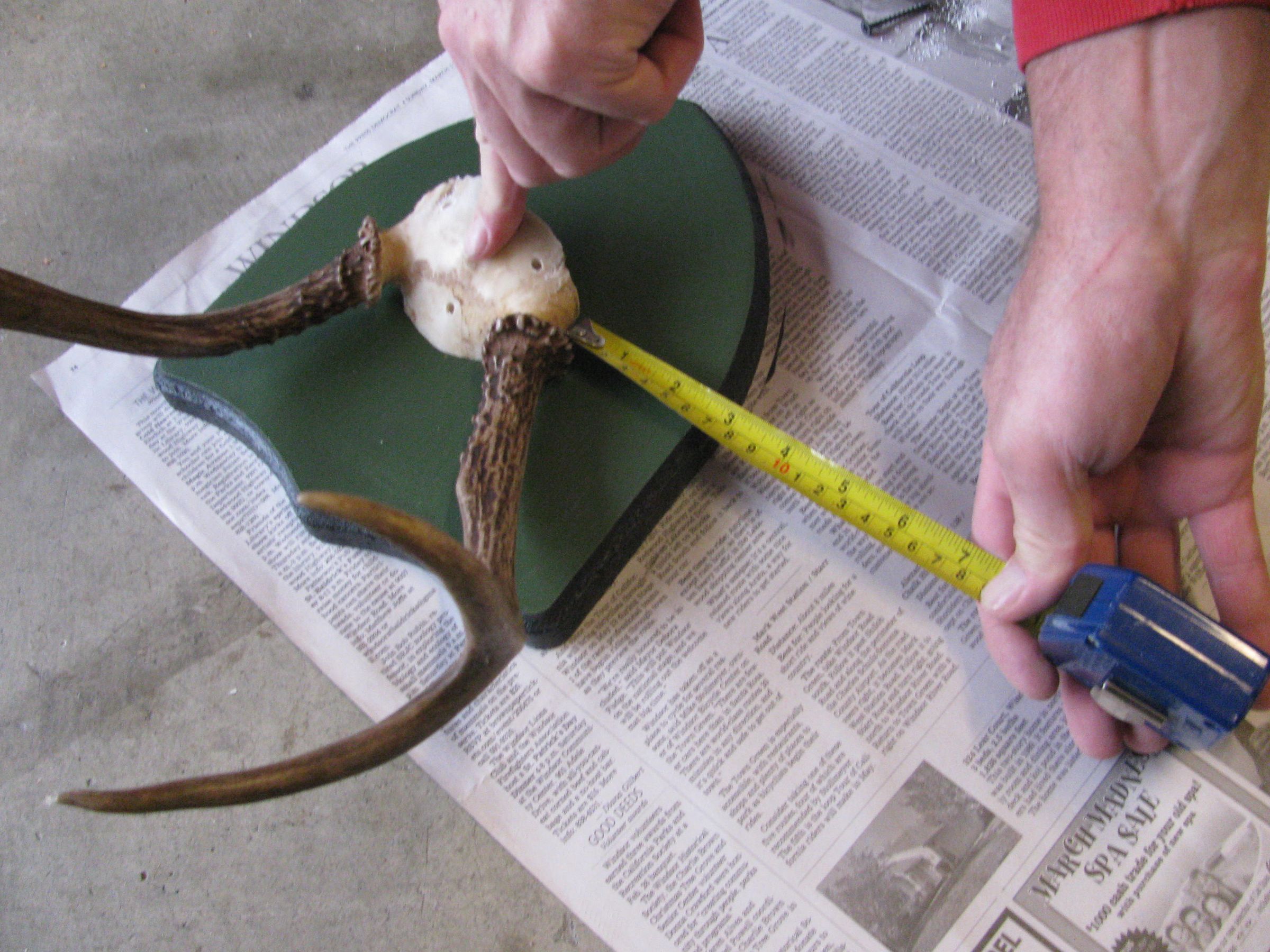 How to Mount Deer Antlers Instructables