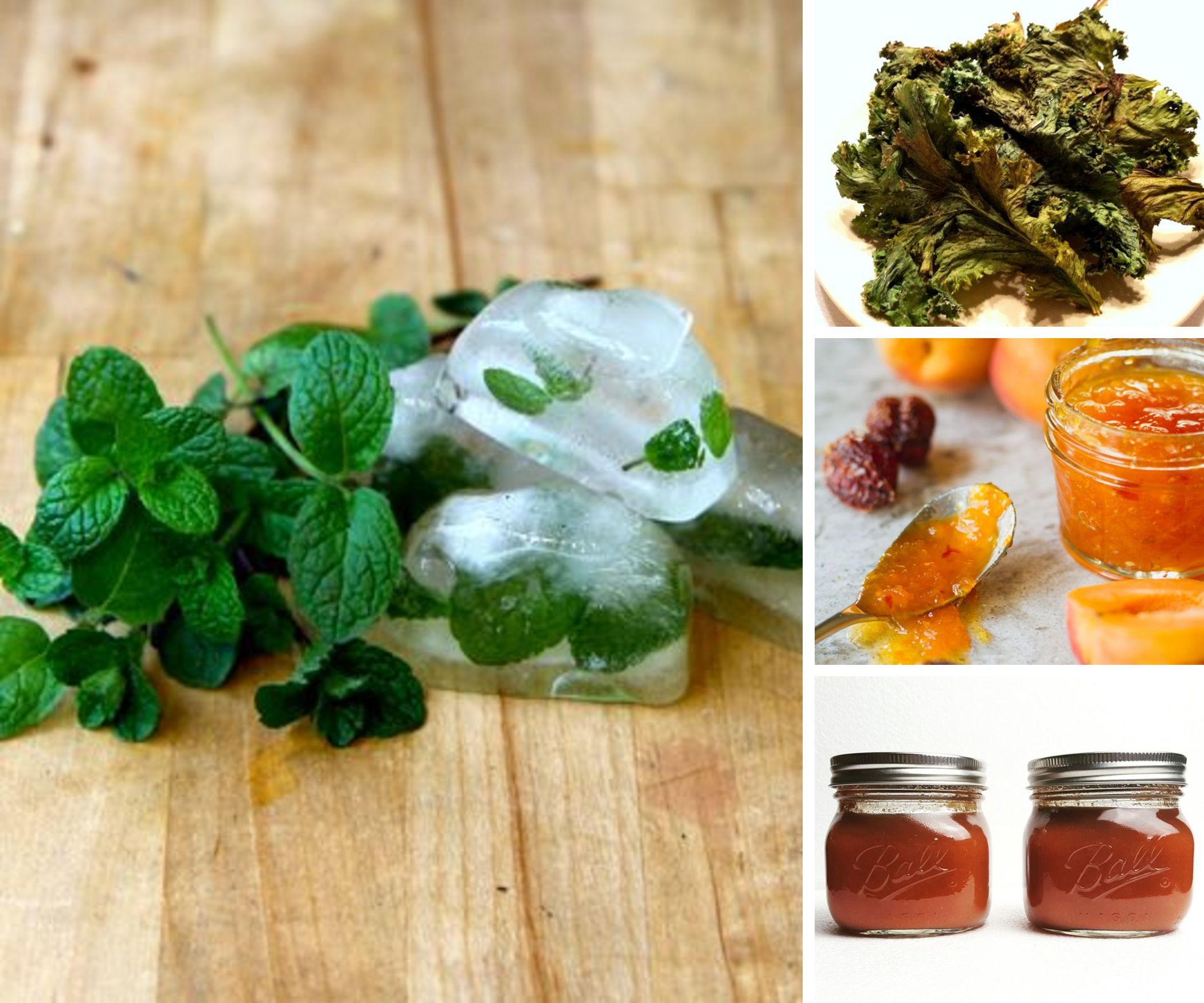 Canning & Preserving Recipes