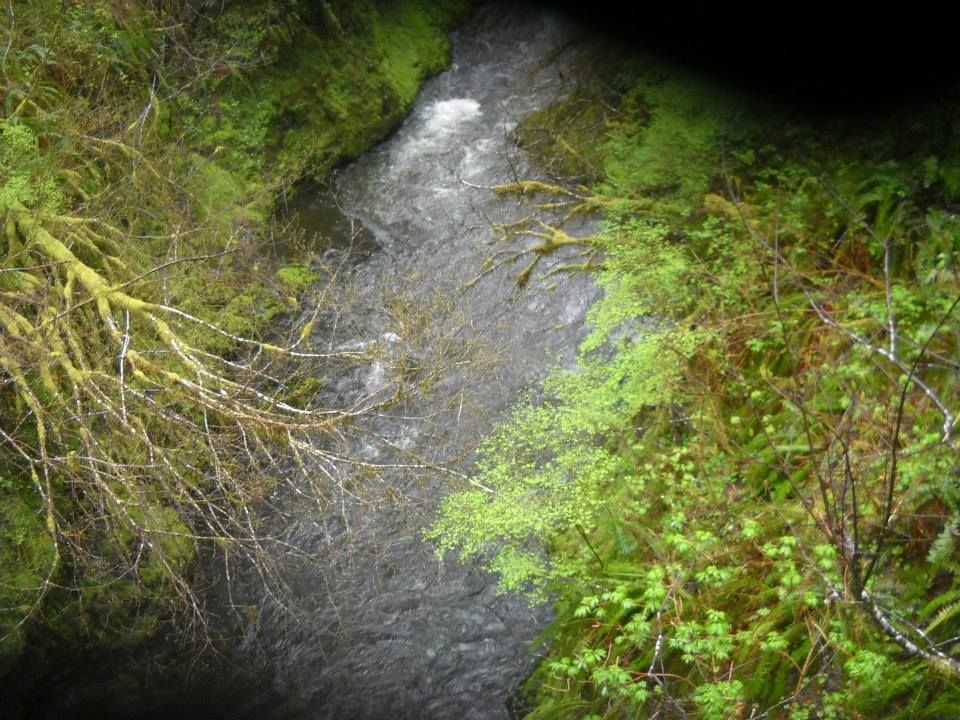 Keeping Outdoor the Food Cold for a Long Period of Time in a Bug Out Situation or Camping