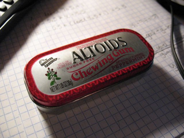 Nintendo DS Game Case