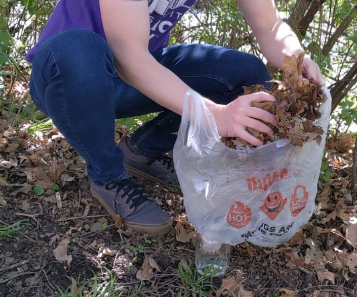 Finding Life That Creates Soil