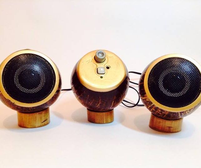 Coconut Speaker.