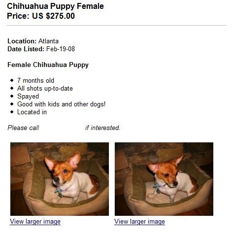 How to Create an Online Classified Ad