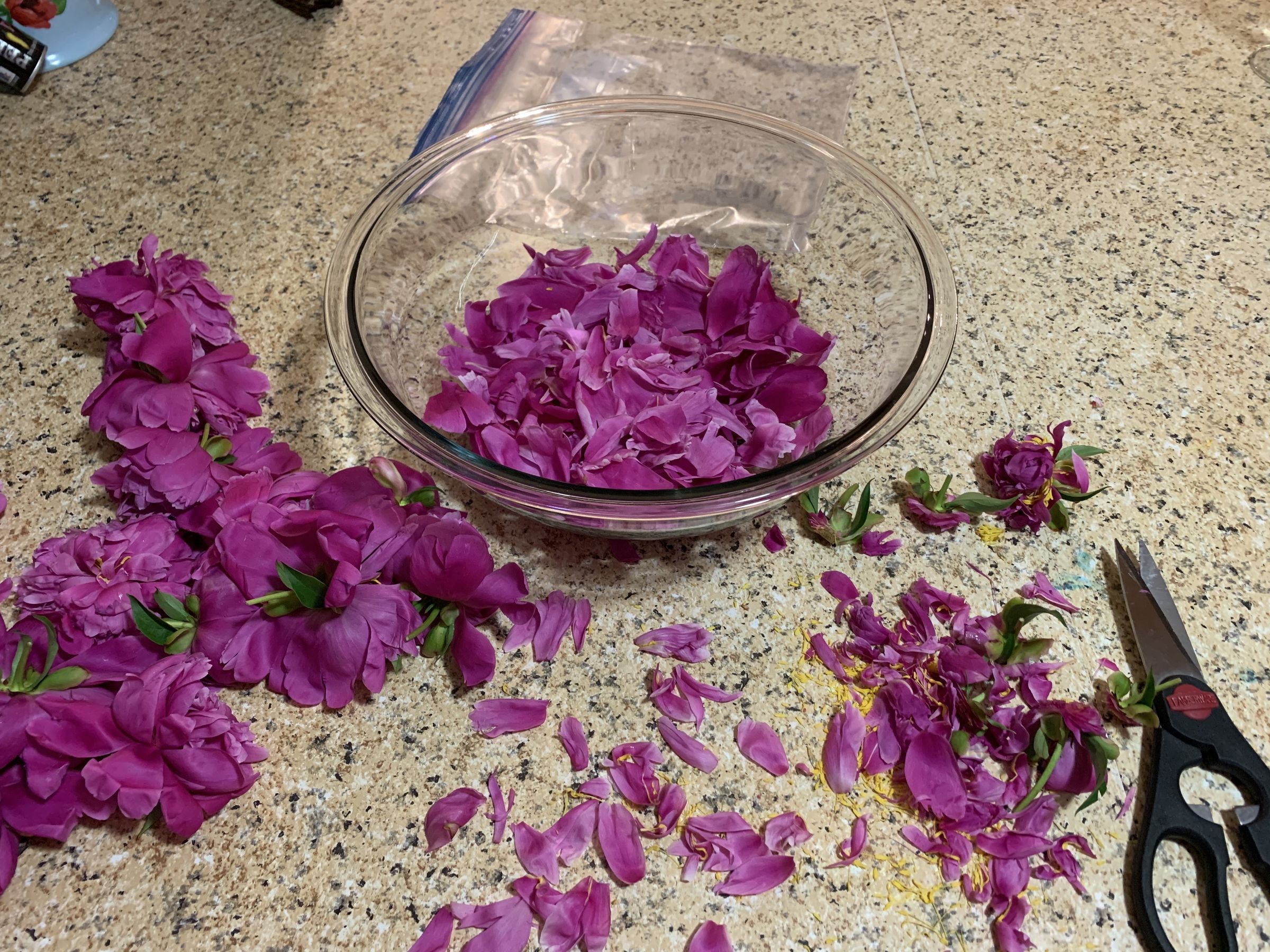 Peony Petal Jelly 3 Steps Instructables