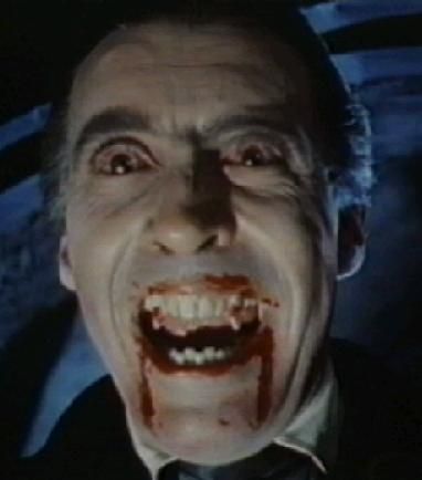 Vampire Hunting for Beginners