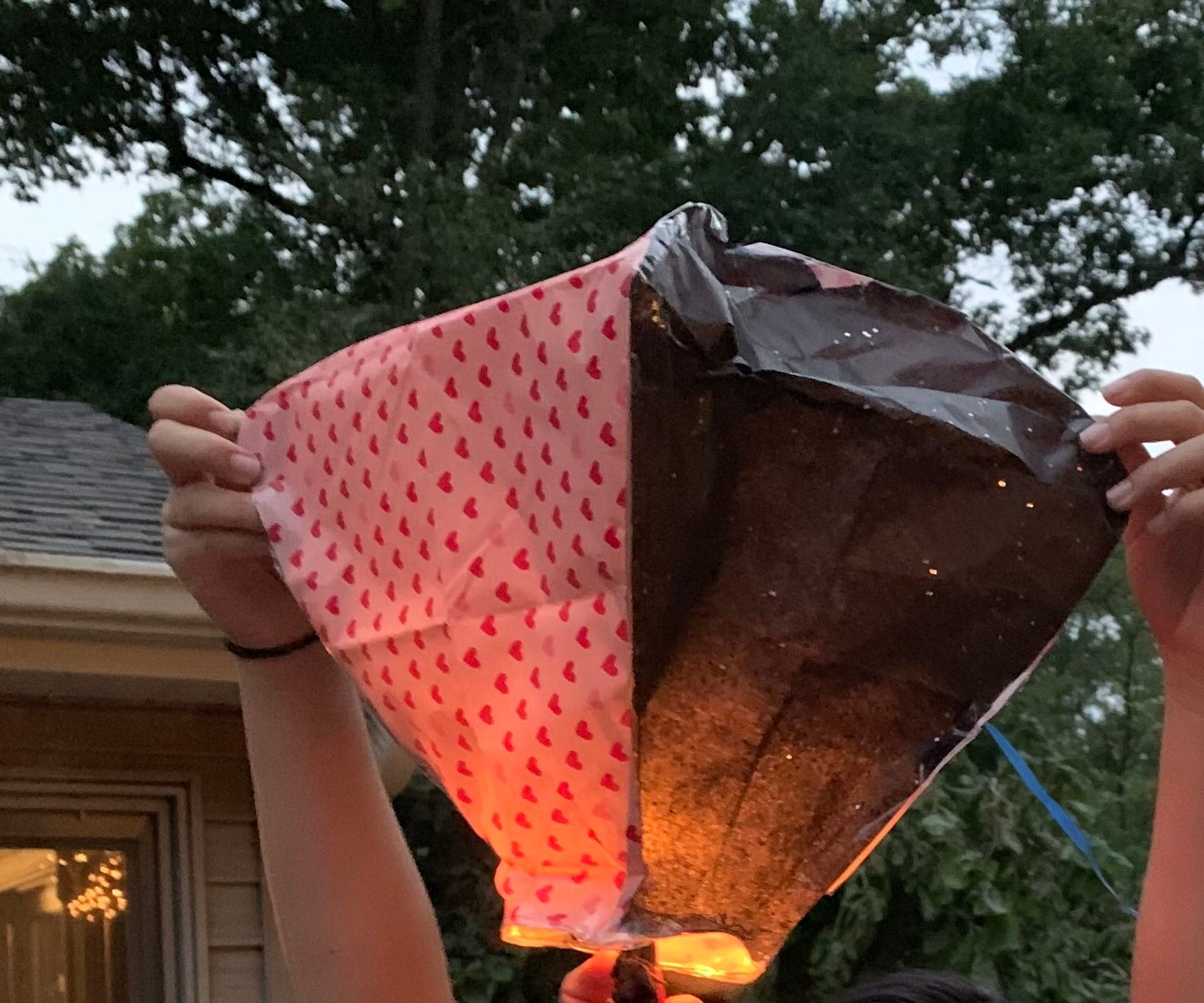 DIY Chinese Lantern