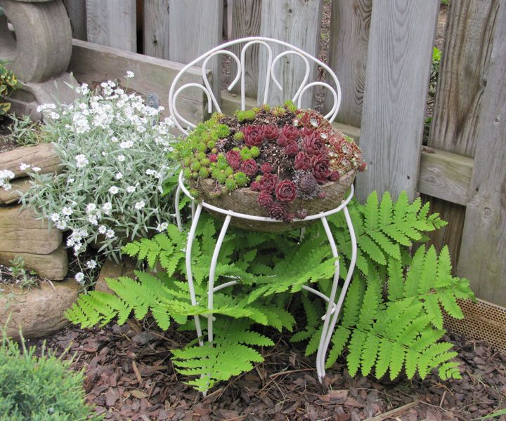 Hypertufa 'Seat Cushion' Planter