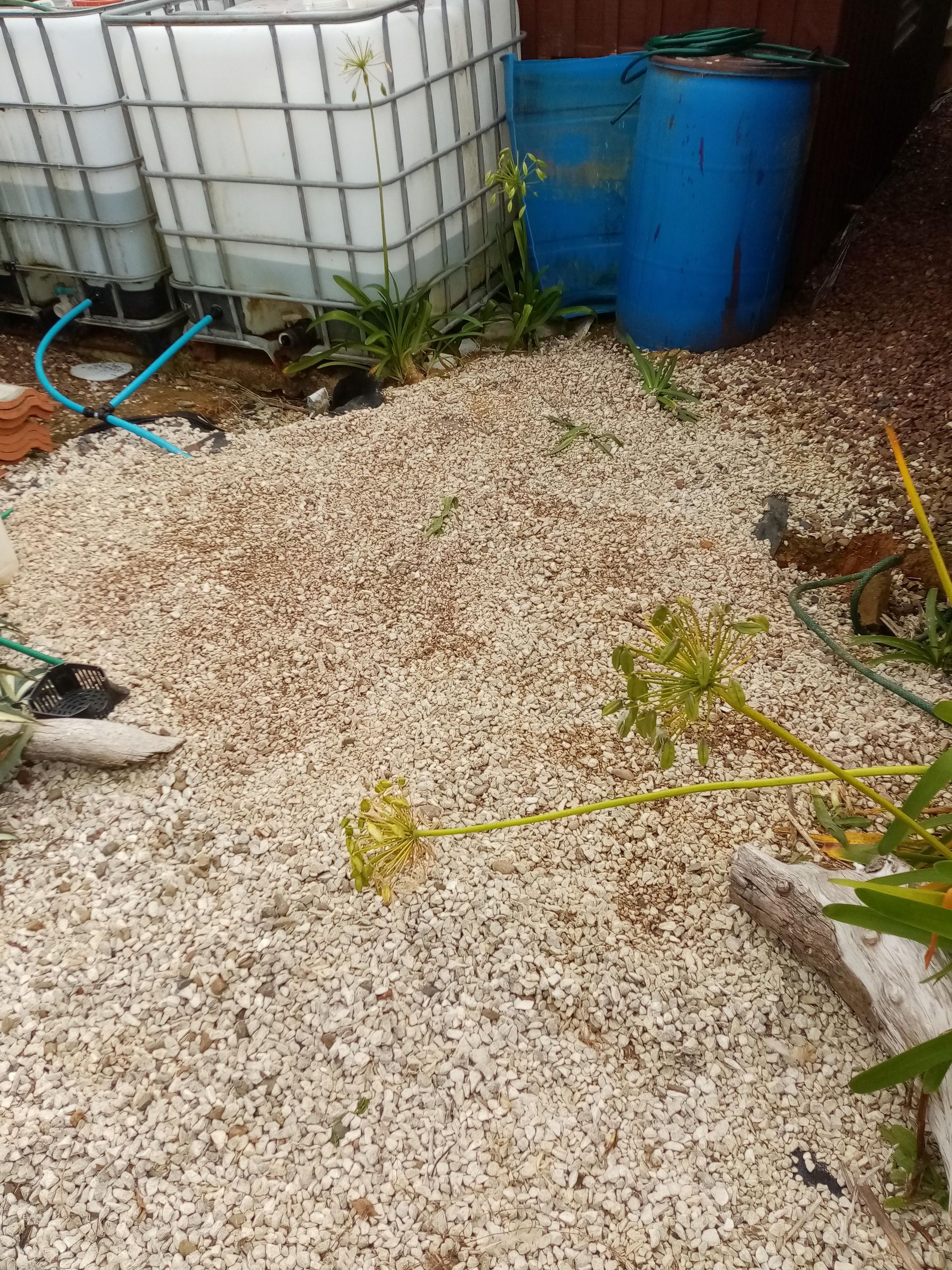 Rural Garden Irrigation System : 11 Steps (with Pictures) - Instructables