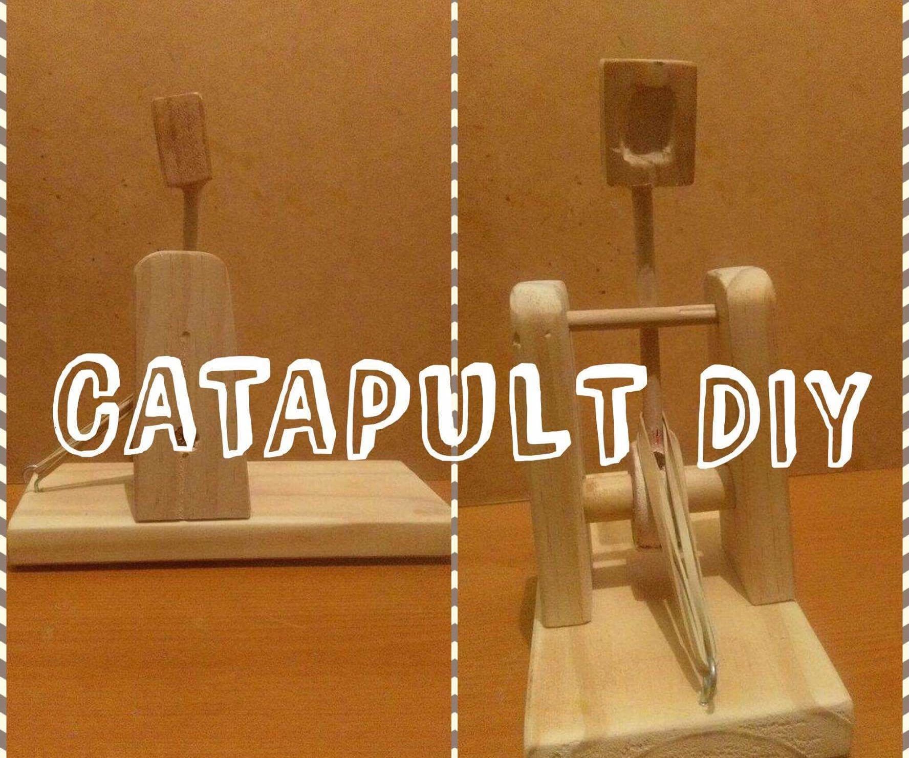 DIY Wooden Catapult 
